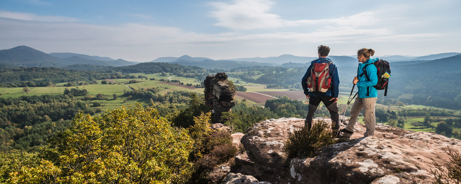 Wandern im pfälzerwald